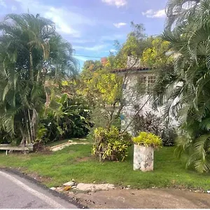 https://jungle-bungalow-studio-in.top-hotels-puertorico.com
